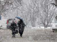 Погода в Архангельской области на четверг: снег, метель и гололёд   
