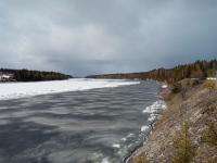 Уровень воды в реках Поморья 8 мая 2020 года продолжает расти