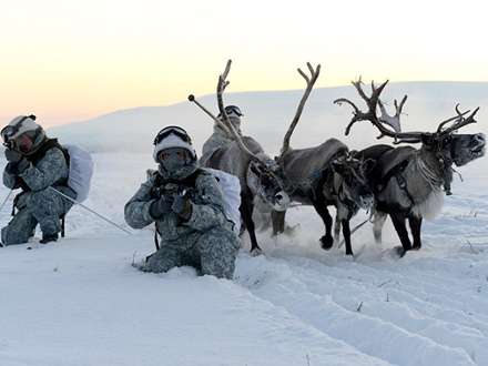 Бойцы арктической бригады Северного флота осваивают оленьи и собачьи упряжки. Фото 