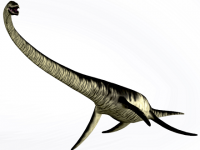 В Архангельской области геологи из Коми нашли кости динозавра