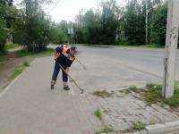 На каждого жителя Архангельска пришлось по килограмму пыли и сора