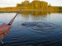 Северодвинские рыбаки продолжают соревноваться за лидерство в рыбной ловле