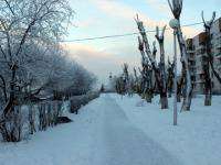 31 октября в Архангельской области снег и слабая гололедица