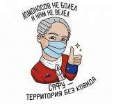 Ломоносова в Архангельске снабдили медицинской маской