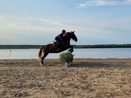 В Поморье прошли соревнования по конному туризму