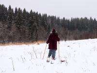 Охотника из Архангельска нашли по торчащей изо льда лыже