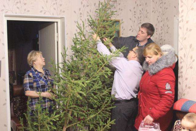  Общество Жители Архангельской области заключили уже около 10 тысяч договоров на вырубку новогодних елей