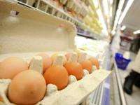 В регионах России могут ввести максимальные цены на яйца, сахар и капусту