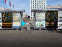 Автобусная остановка в Архангельске стала «островком комфорта»