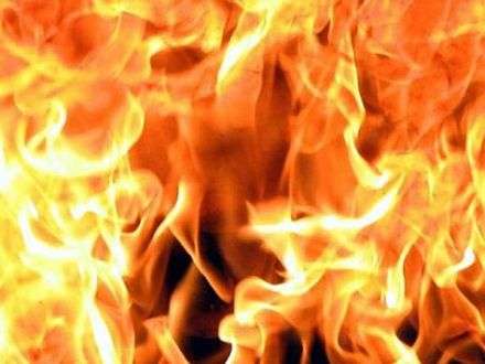 Пожарные спасли магазин в Вилегодском районе