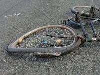 Под Каргополем погибла пожилая велосипедистка
