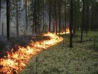 В Лешуконском, Мезенском и Пинежском районах высока опасность лесных пожаров