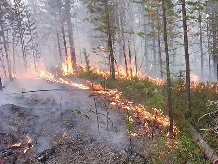 За неполный сентябрь огнеборцы Поморья усмирили 15 лесных пожаров