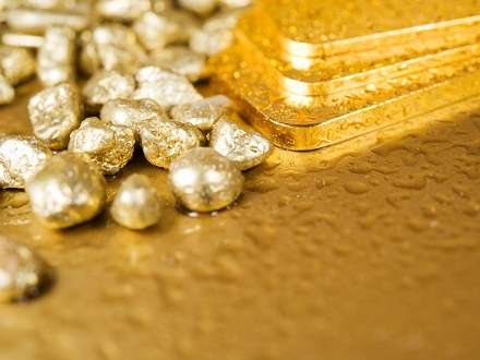 Молчание главы Онежского района оценили в 1,48 грамма золота