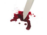 Жительница Онежского района получила удар ножом в грудь