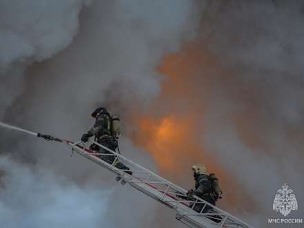 Пожар в Лайском Доке тушили более шести часов