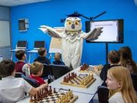 Дошколят Архангельска пригласили обучиться игре в шахматы