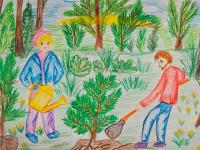 Центр защиты леса в Поморье пригласил детей на творческий конкурс