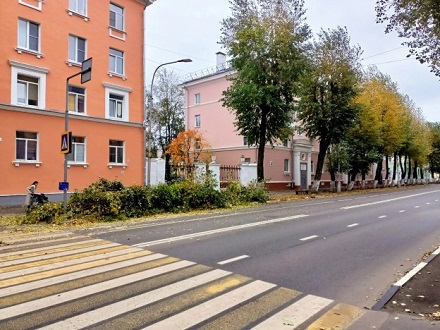 Рабочие в Северодвинске раскрошили в труху 416 старых пней